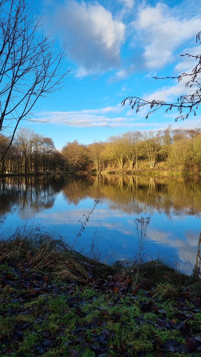 Massoud2121's tweet image. Out for a nice walk 🙂

#outforawalk #nice #calm #afternoon #justme #photographer #uk