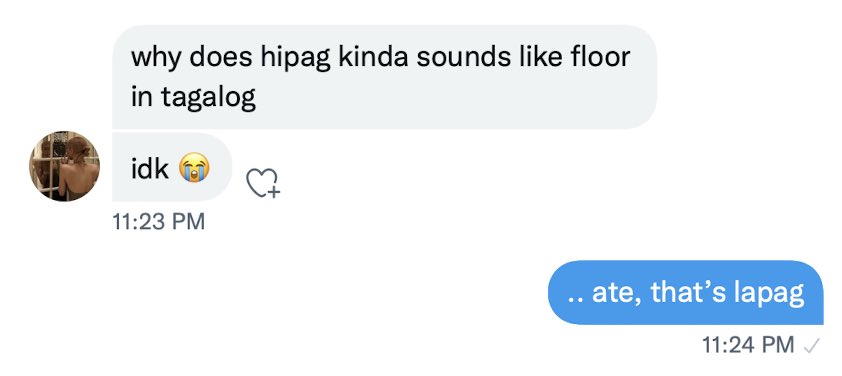 everyone, meet my ate 😹