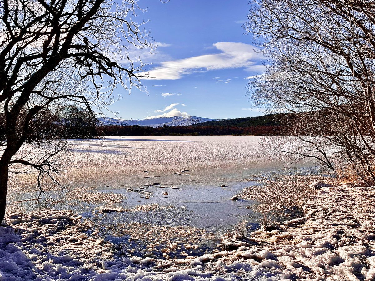 TheMackWalks's tweet photo. Today, Loch Kinord๐ #walking #hiking #winterwalking #lochkinord #dinnet #muirofdinnet #muirofdinnetnnr #aberdeenshire https://t.co/JXjArzCBno