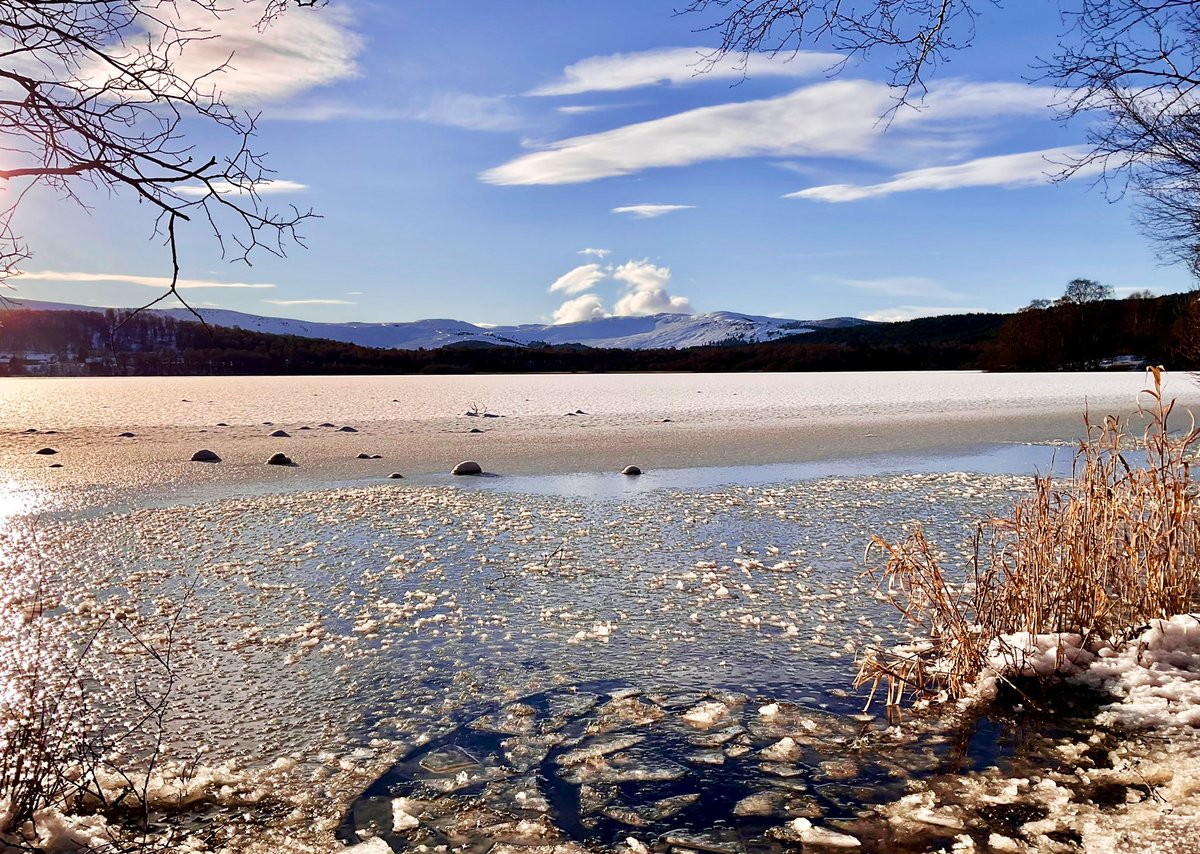 TheMackWalks's tweet photo. Today, Loch Kinord๐ #walking #hiking #winterwalking #lochkinord #dinnet #muirofdinnet #muirofdinnetnnr #aberdeenshire https://t.co/JXjArzCBno