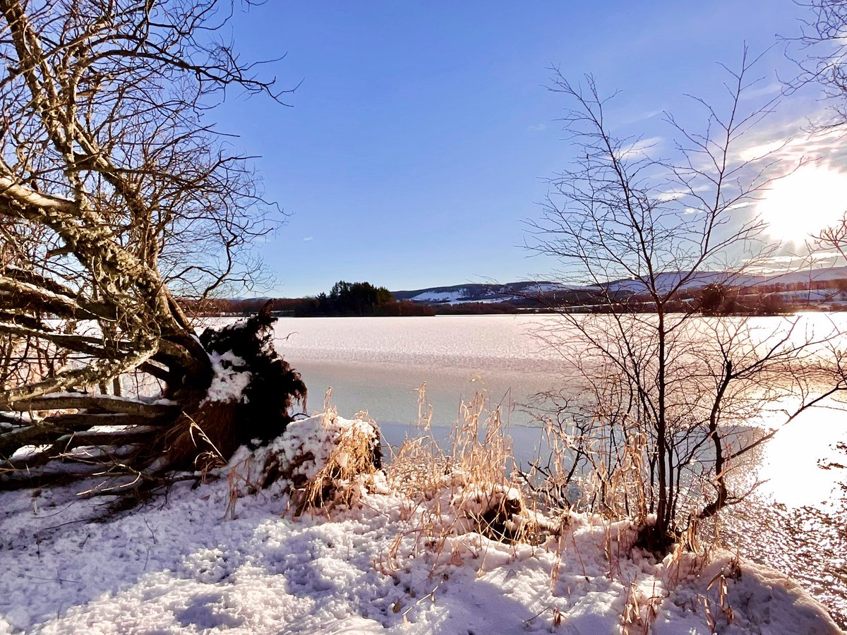 TheMackWalks's tweet photo. Today, Loch Kinord๐ #walking #hiking #winterwalking #lochkinord #dinnet #muirofdinnet #muirofdinnetnnr #aberdeenshire https://t.co/JXjArzCBno