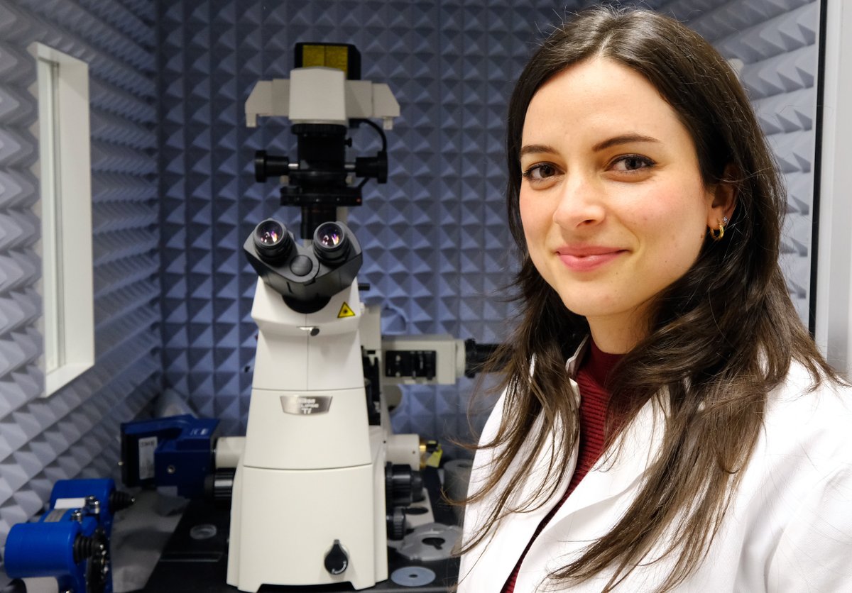 Rote Blutzellen von Covid-Patienten mit schwerem Verlauf sind krankhaft verformt, so dass sie nicht mehr so gut fließen. Das zeigt ein Forschungsteam um Steffen Recktenwald und Greta Simionato im Fachjournal <a href="/eLife/">eLife - the journal</a> : uni-saarland.de/aktuell/rote-b…