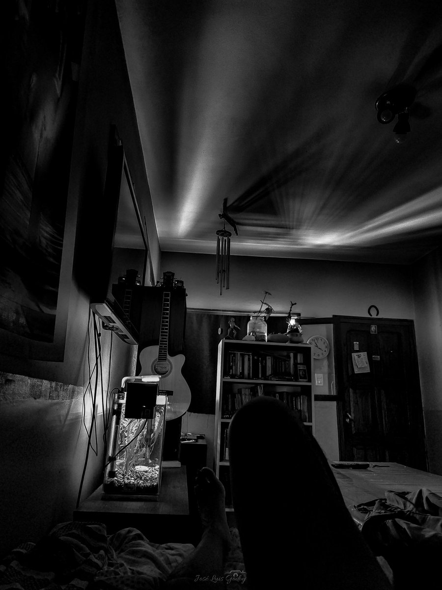 JoseLuisGodoyPh's tweet photo. Ligths and shadows...
#luces #sombras #lucesysombras #ligthandshadow #Fotos #fotoshot #Foto #fotografia #FotoDelDia #photography #photooftheday #photo #photographylovers #bnw #bnwphotography #bw #blancoynegro #BlancetNoir #Monochrome https://t.co/q2ZuOMw817