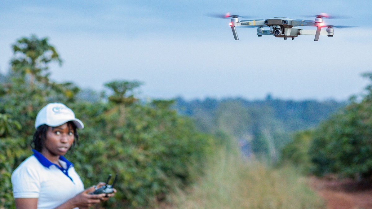 HiViewNL's tweet photo. The HiFarm project for maize, coffee and tea farms in Kenya is successfully completed. HiView and @ThirdEyeWater committed 558 #drone flights in 1,5 year. Thx to our AgPilots Veronicah Nyaguthii, Purity Kinya, manager Kiogora Julius and partners @FutureWaterNL @HGTKenya. https://t.co/c3F64ndblh