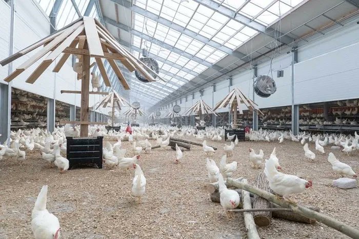 WATT Poultry is no longer active on Twitter. Check out our website, bit.ly/3YHyz0A for the latest poultry news, production articles and analysis.