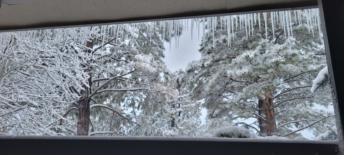 ReginaCSalas's tweet photo. Happy New Year! #ArizonaWinterWonderland #WinterWonderland #Flagstaff  

"Let your minds be filled with everything that is true, everything that is honorable, everything that is upright and pure, everything that we love and admire -- with whatever is good and praiseworthy." https://t.co/Iel9pBawCP