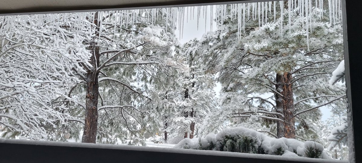 ReginaCSalas's tweet photo. Happy New Year! #ArizonaWinterWonderland #WinterWonderland #Flagstaff  

"Let your minds be filled with everything that is true, everything that is honorable, everything that is upright and pure, everything that we love and admire -- with whatever is good and praiseworthy." https://t.co/Iel9pBawCP