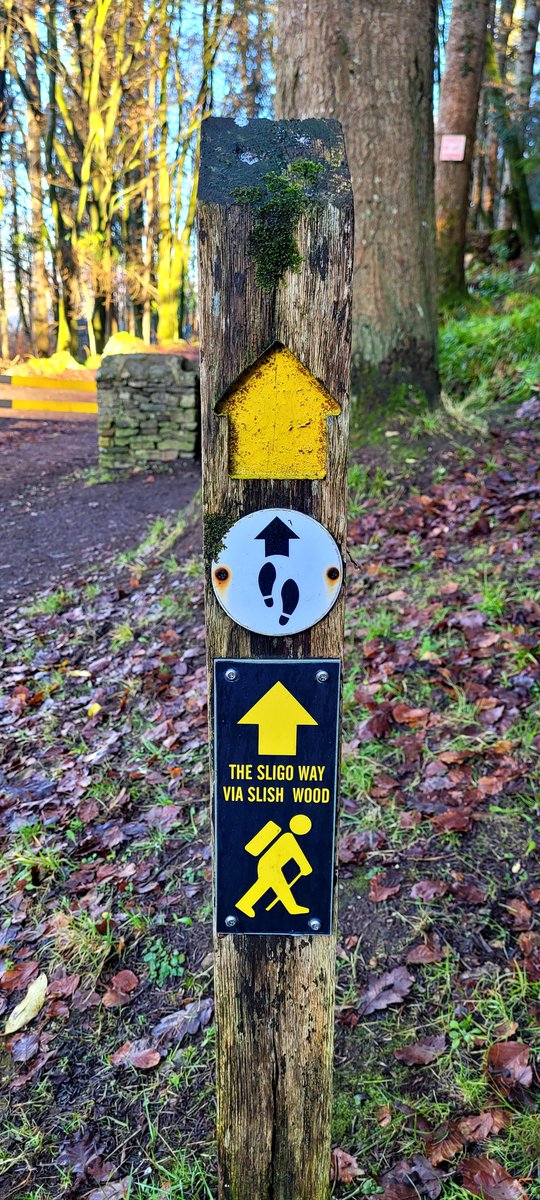 macgabhann31's tweet photo. Day 2 of #100daysofwalking done, blog to follow, once i get the domain sorted out. Slish wood is one of my favorites in the area as part of the #Sligoway. Looking forward to more. #lovesligo #choosesligo #keepdiscovering @DiscoverIreland @discoverirl @NTBreakfast https://t.co/wsPB5jno5C