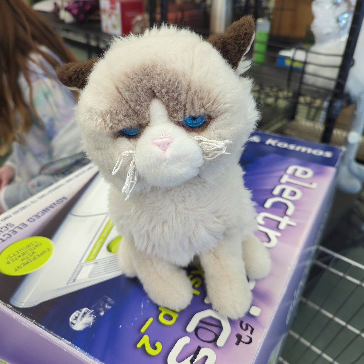 smcwhorter's tweet photo. @GrumpCatTheatre @g_willi the face says it all https://t.co/rbfkfn4ZBn