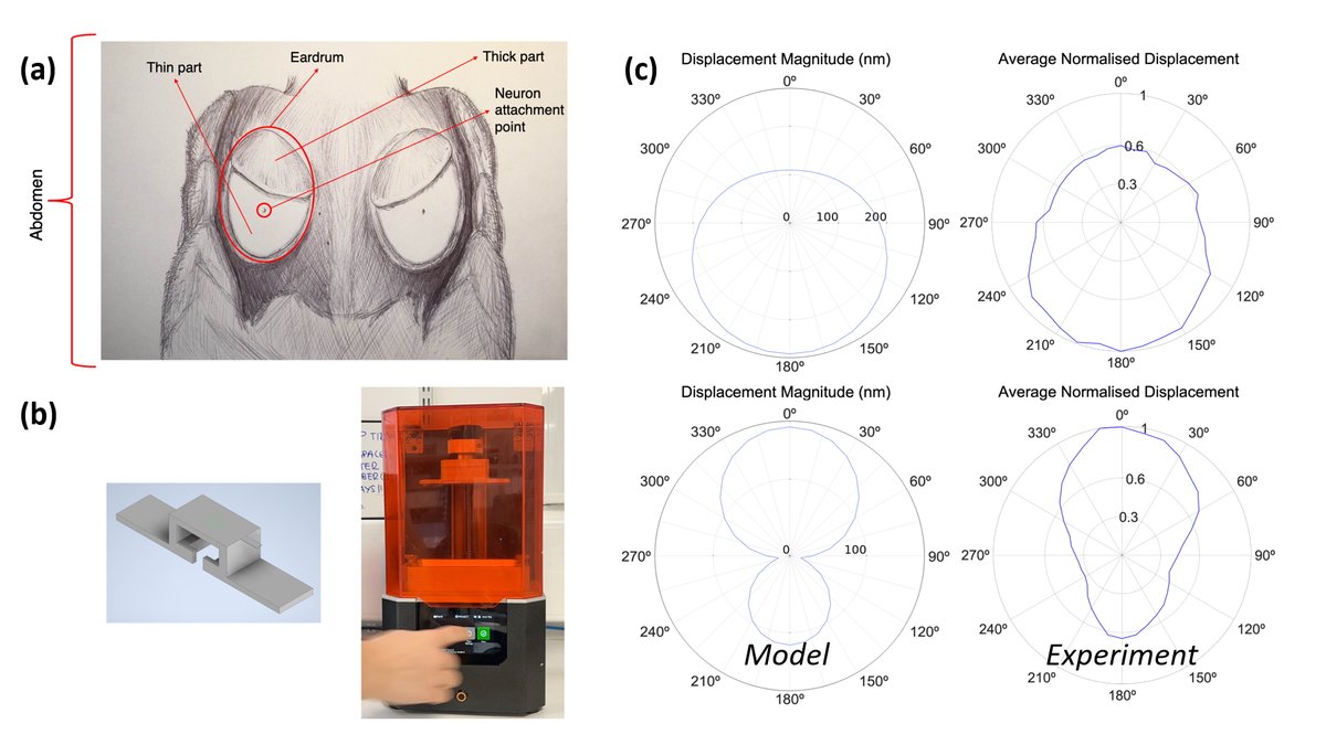 ACOUSTICS TODAY
This perspective summarizes the winning entries for the ASA’s 2022 Student Challenge Problem, Additive Manufacturing and Acoustics, discusses the motivation for setting up this challenge ow.ly/wkXF50LQxlf