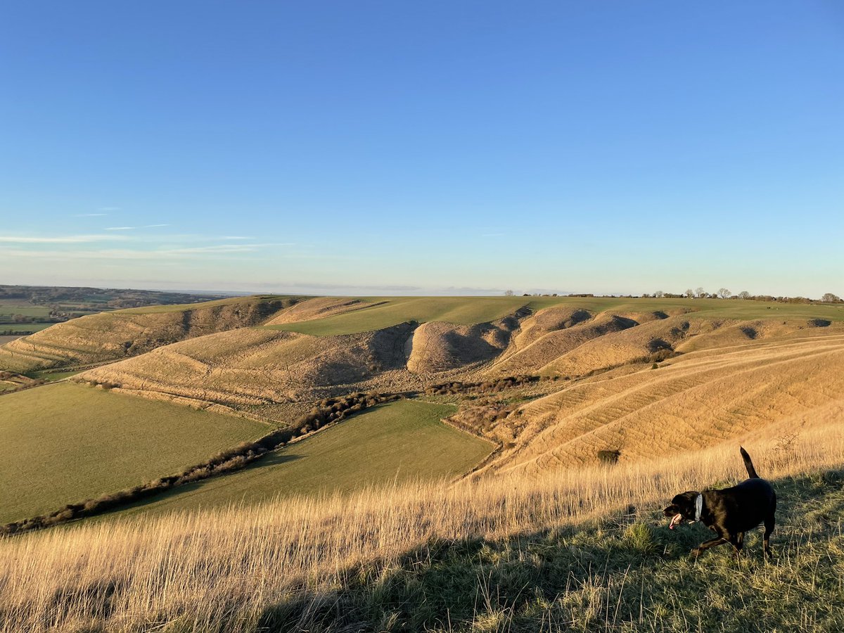 loupercussion's tweet photo. A walk with the 🐾 taking in the view and fresh air feels like the best #nightshiftprep to me #viewfromthecrew https://t.co/kKF9J2uX8H