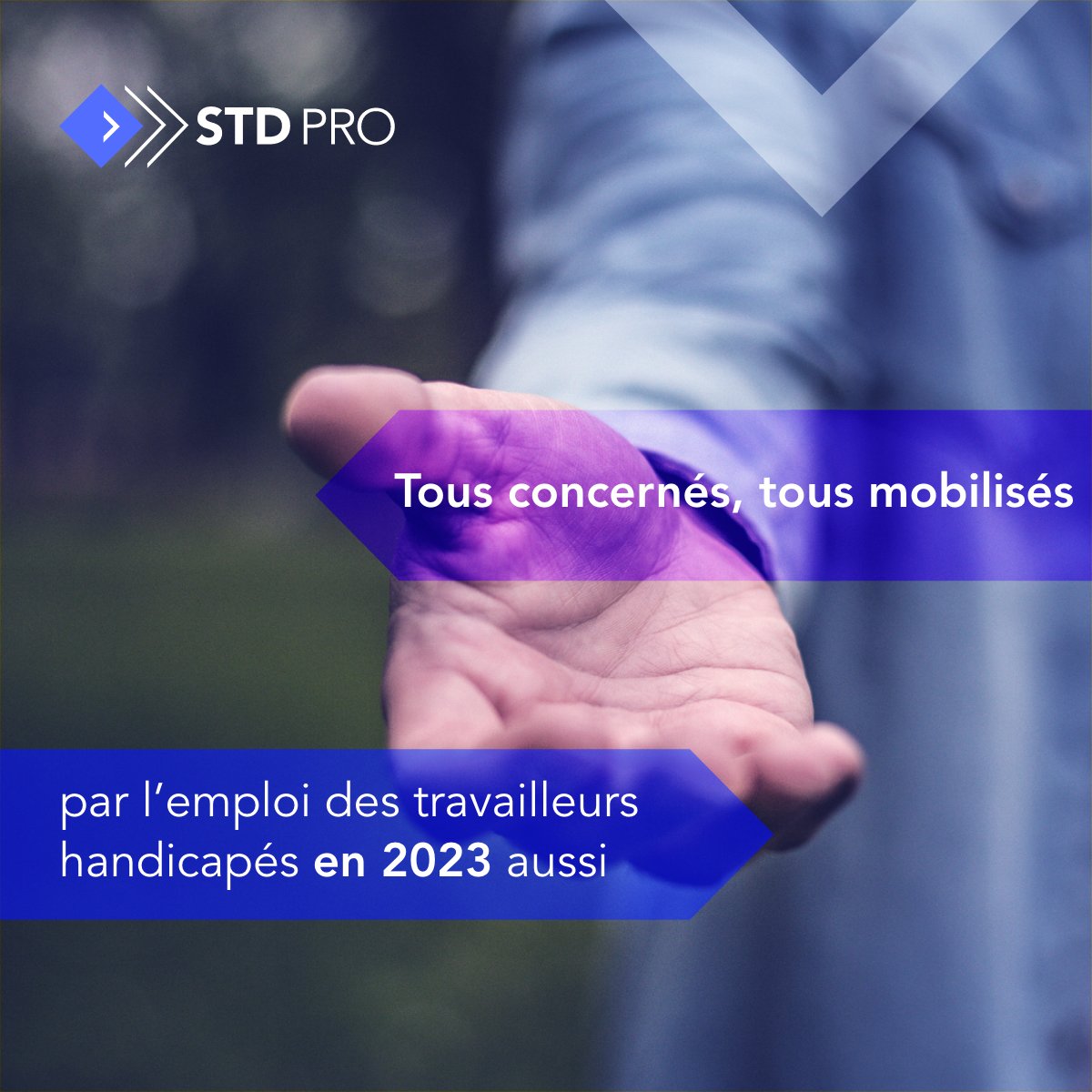 STD PRO tweet media