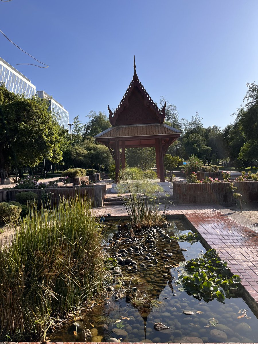 willrico78's tweet image. Comienzo de año con nuevos caminos y desafíos por correr. #Running #Runlife