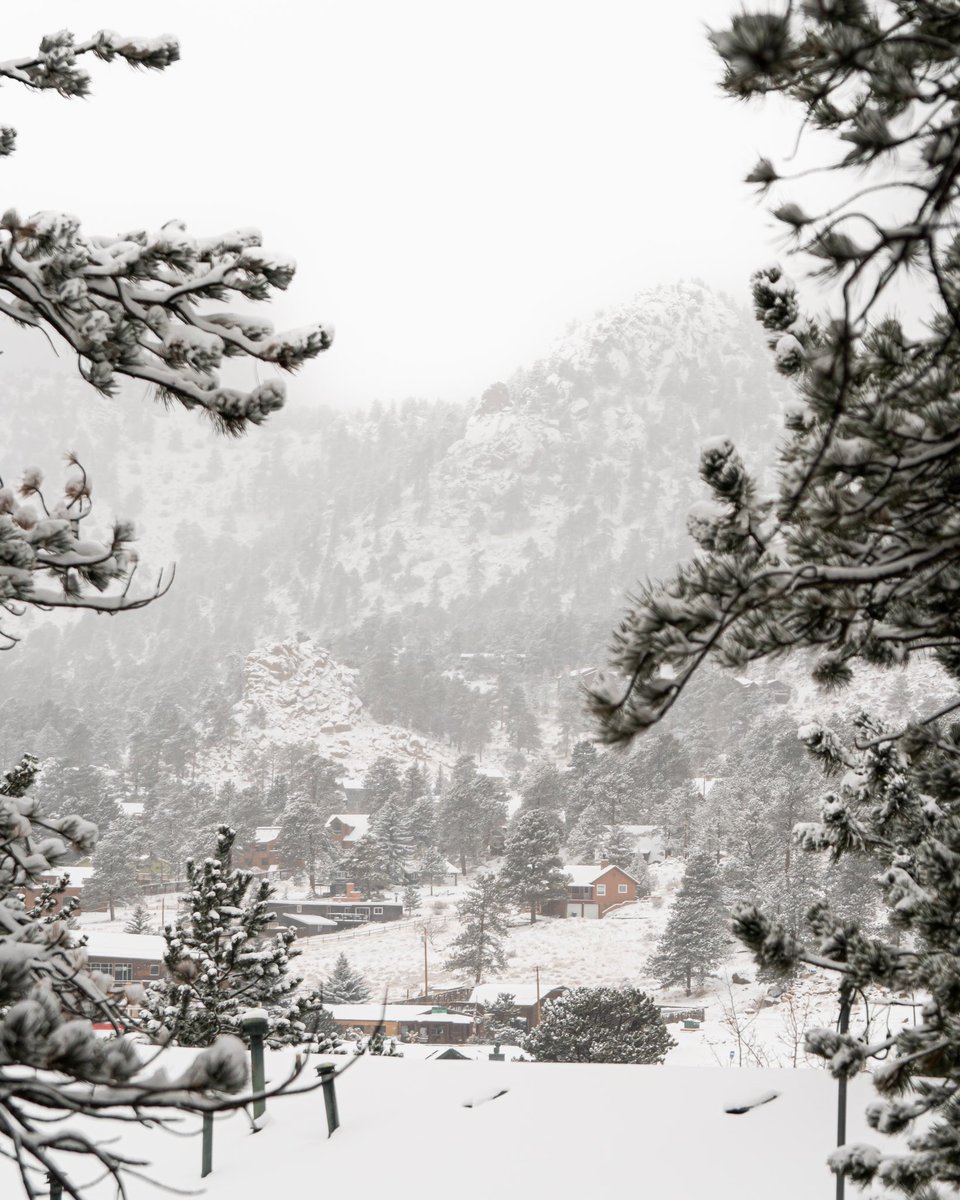 Snowfall in the village ❄️
-
#contentwithless #creative_ace #eclectic_shotz #artofvisuals #bevisuallyinspired #folkcreative #createexplore #nationalparkgeek #roamtheplanet #pnwonderland #pnw #nationalpark #nationalparks #nationalparkgeek #vanlife