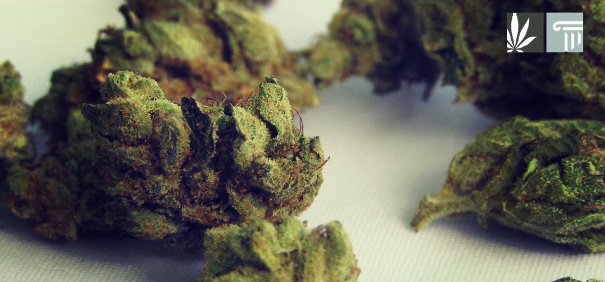 Marijuana delivery services in New York could launch ahead of retailers opening up their storefronts under new rules issued by cannabis regulators.

marijuanaandthelaw.com/new-york-relea…