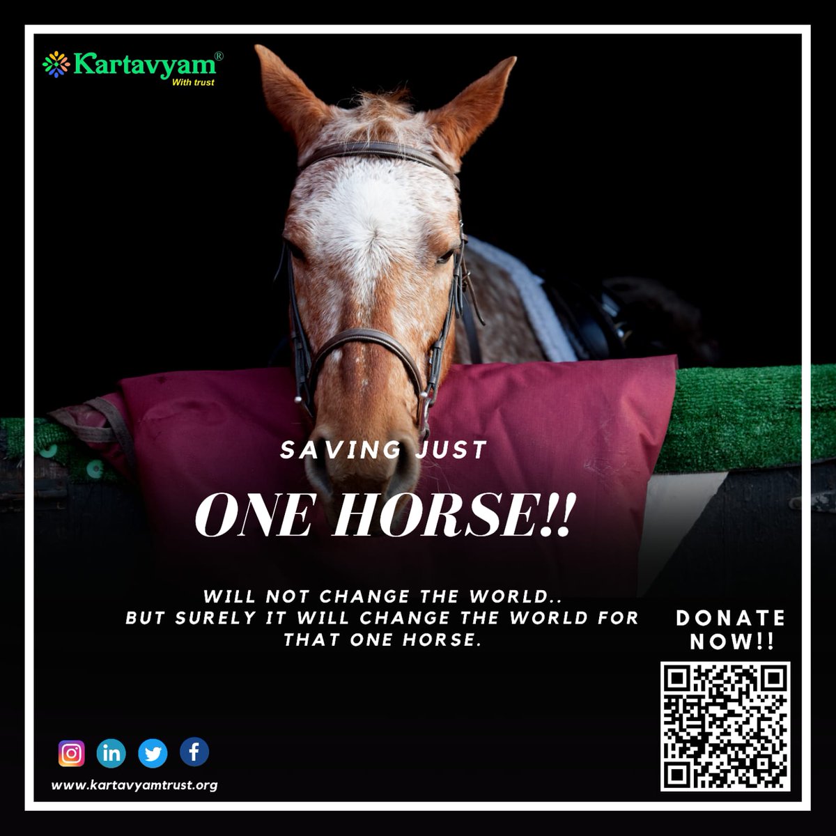 KartavyamWith's tweet photo. You can see the spirit, the hope, the life, the dreams in the eyes of a horse.
Give those dreams of a horse a second chance.💁‍♂️
.
.
#helpinghand #Delhi #Donation #2k23 #save
#AnimalCrossing #shelter #noble https://t.co/ZBW9coMrNU