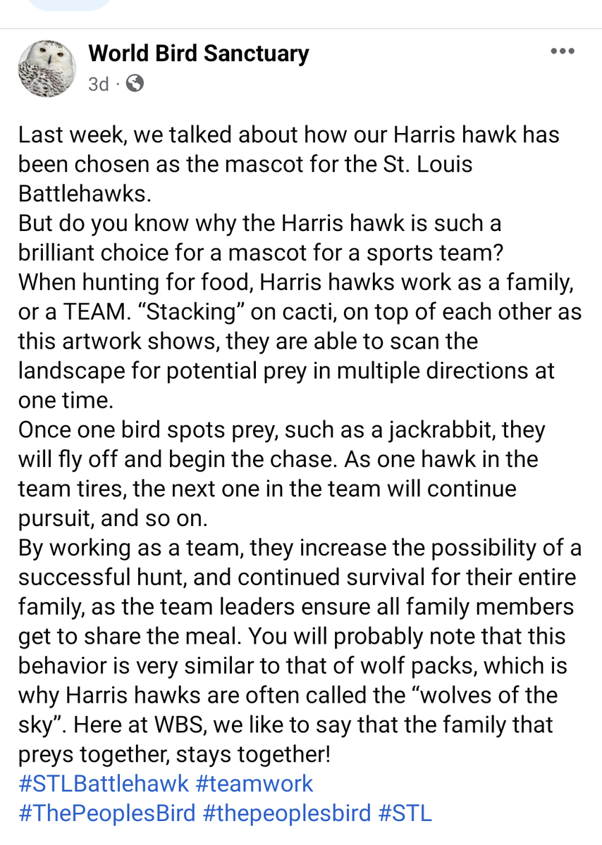 TheRealSTLKaw's tweet photo. #KawsKettle

#Kaw #MoHawk #Archie #Lou &amp; #TheRawk

#GuardiansOfTheArch
#LetHimFly
#ThePeoplesBird #WeAreMascots
#Family #Teamwork #Community #Tailgate #All4One #MyNameIsLaw https://t.co/1QpqifFtur