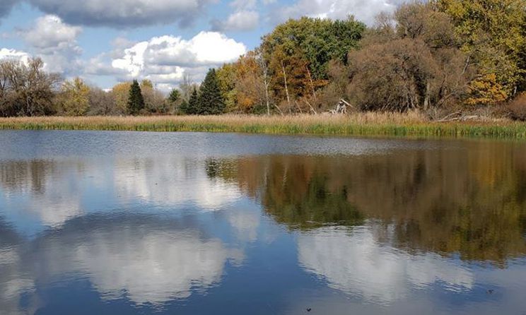 newsdurham's tweet photo. Why is a wetland like Oshawa Second Marsh so important? Karen Arbour says wetlands provide habitat, clean water. #conservation #wetlands #naturalhabitat #water #secondmarsh #oshawa #swamps #marshes #bogs 
https://t.co/OEl5XA5KFN https://t.co/gwIrNv5NXU