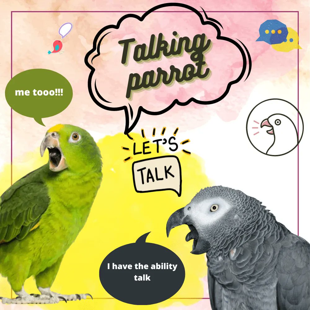 Talking parrot 
rb.gy/ynmfew
#parrot #parrottalk #talkingparrot