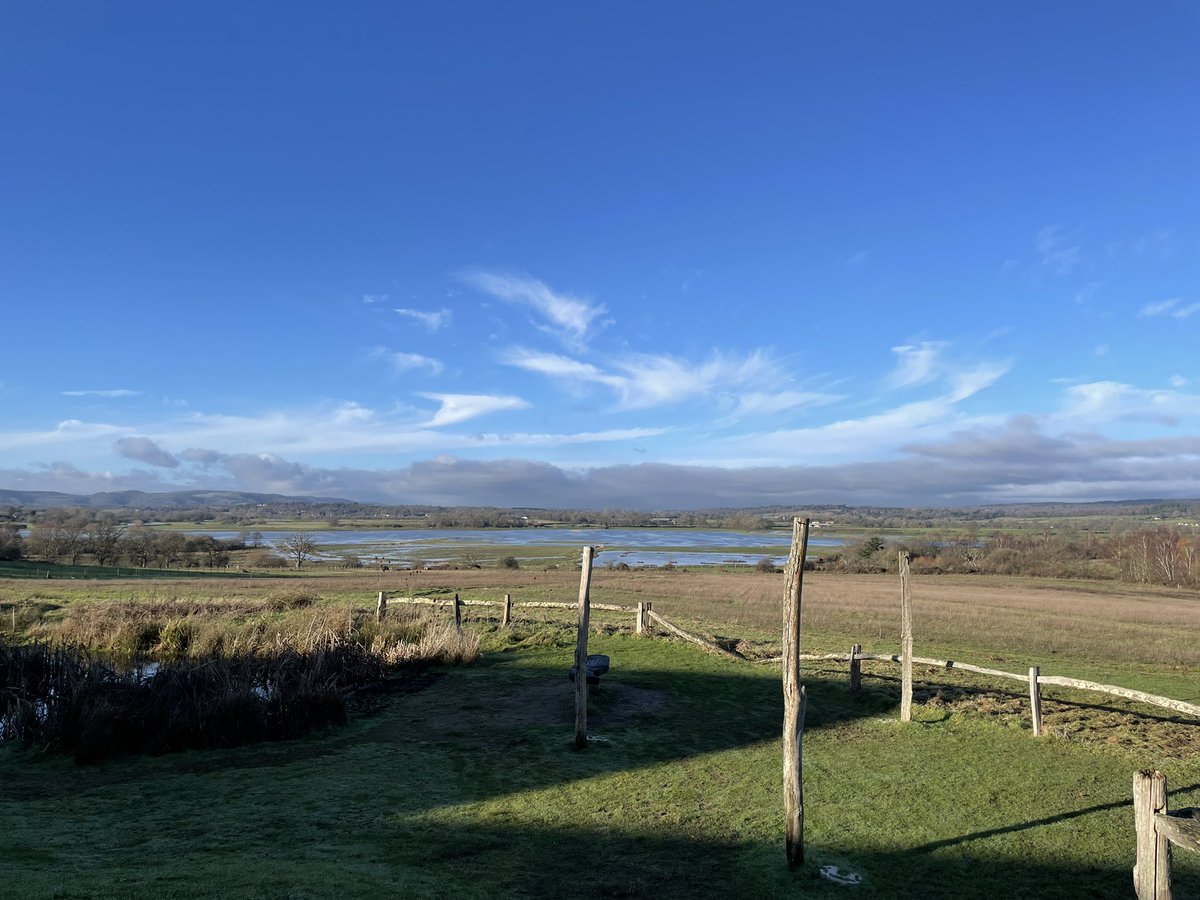 twhv's tweet photo. @AlanDaviesbirds Two White-tailed Eagle @RSPBPulborough were the perfect way to start 2023. https://t.co/6OUUerVao8