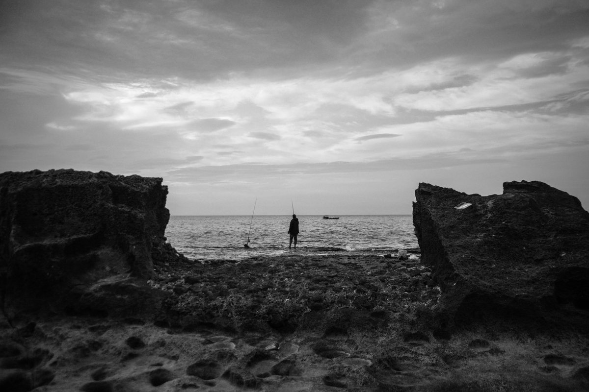 omarbsatt's tweet photo. [Sea Level]
#landscapephotography #blacknwhite #zonesystem #sealife https://t.co/YU9tf1mHgA