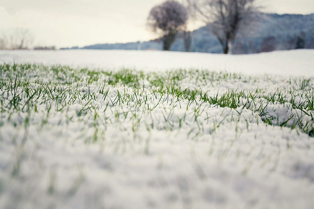 Sports Turf Agronomy Advice - January 2023 📅

👇 Click here for the monthly update and advice on nutrition, growth forecast, worms etc, plus get daily weather reports from the Agrovista Academy. 
pitchcare.com/news-media/spo…

#agronomyadvice #agronomy #weather @AgrovistaAMNT