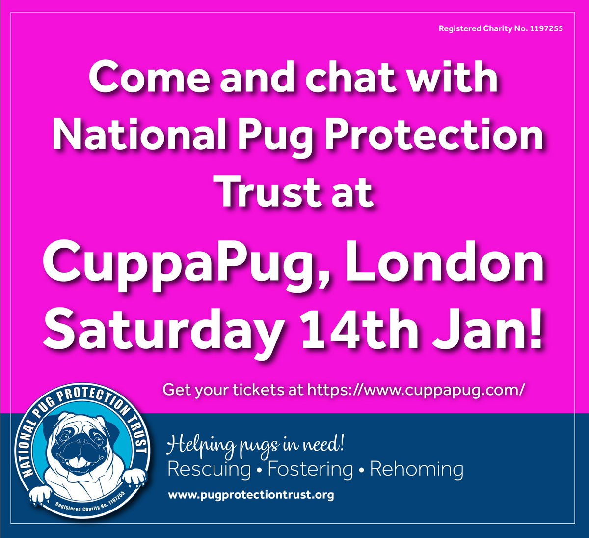 We will be back at <a href="/cuppapuglondon/">CuppaPug</a> monthly in 2023! Our first visit of the year will be 14th January; they are almost full on this date so be quick if you want to book a slot and come and see us!
Book your tickets at cuppapug.com