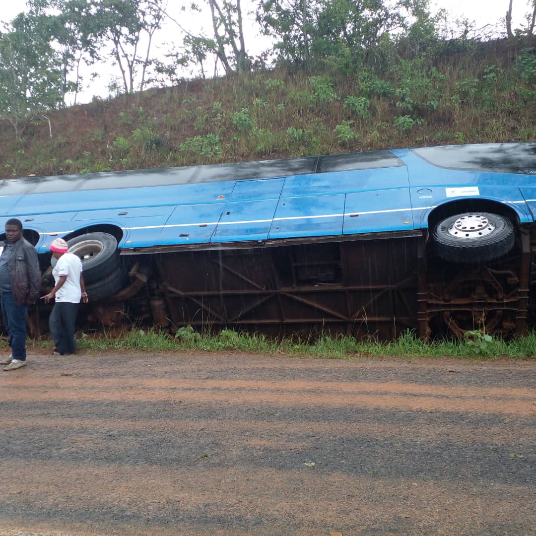 Zodiak Online tweet media