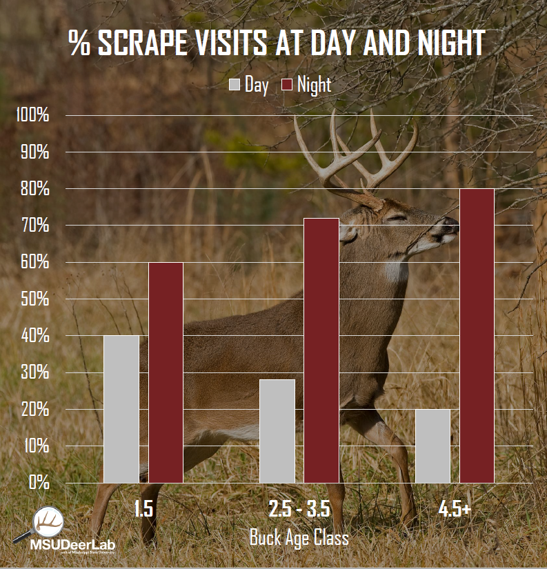 MSUDeerLab tweet media