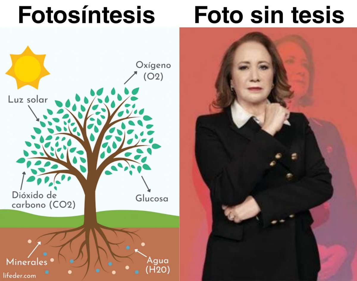 jessicajaimeshe's tweet photo. #poderoso23 https://t.co/dwyLlrebei