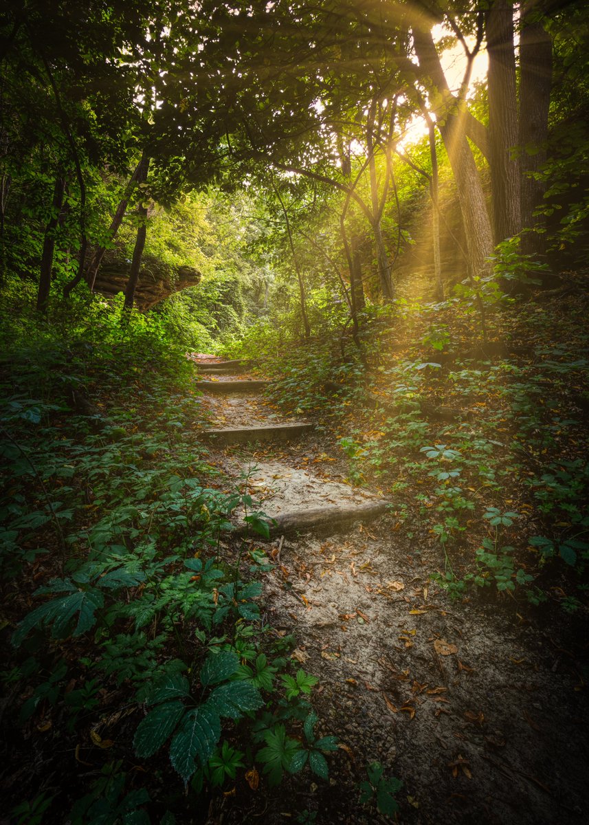 American Hiking (@americanhiking) on Twitter photo Where will the trail take you in 2023? We wish you a year filled with miles of smiles!
Photo credit: Dave Hoefler Where will the trail take you in 2023? We wish you a year filled with miles of smiles!
Photo credit: Dave Hoefler