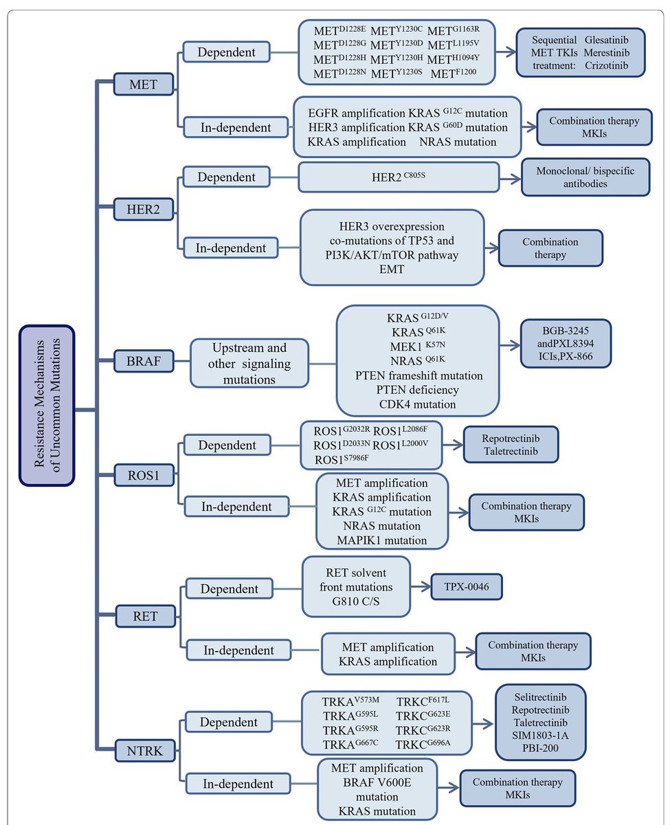 Molecular pathways, resistance mechanisms and targeted interventions in NSCLC. 

Potential therapies to overcome the challenges of drug resistance. 

DOI doi.org/10.1186/s43556…

#nsclc #targetedtherapies #precisiononcology #lcsm