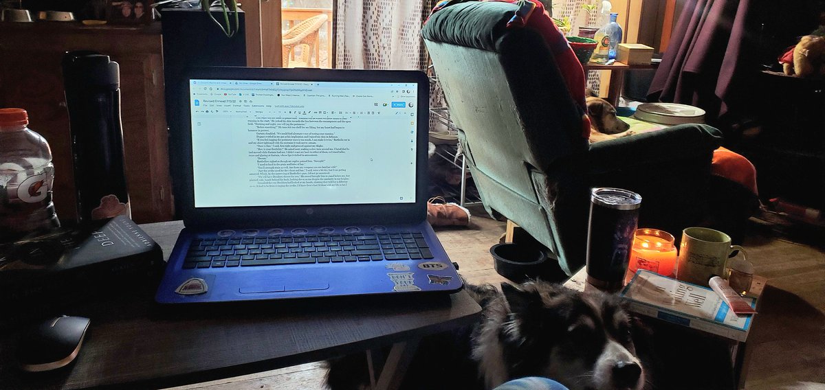 thuottes's tweet photo. #amwriting zone setup for the day, complete with sleeping pups, pups needing attention and an emotional support kitty https://t.co/CirFwui3IP