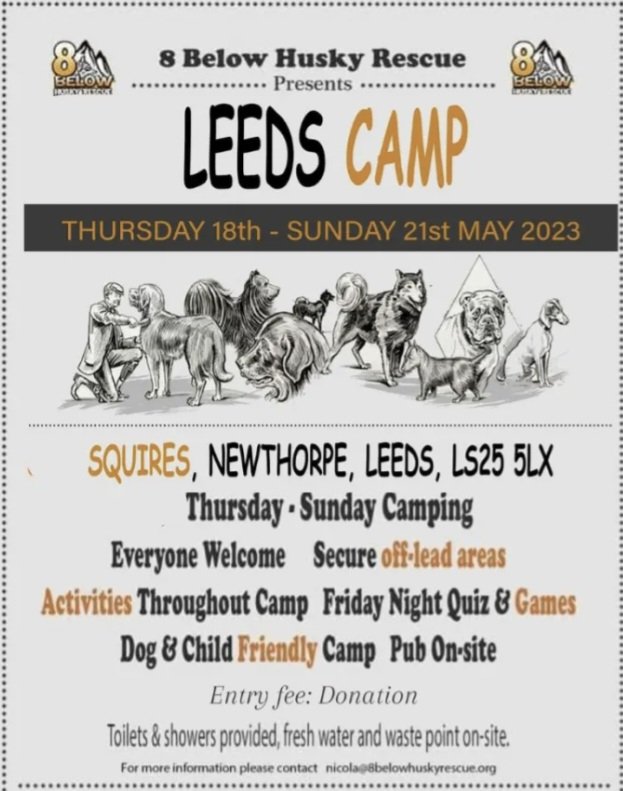🏕 8 Below Husky Rescue Camp Leeds 2023! 🏕 A fun-filled weekend for both dogs and humans 🐾 Prices are per PITCH not per person! 🏕 😍 Book in January and save £10 per pitch! 👇 8belowhuskyrescue.org/product/leeds-…