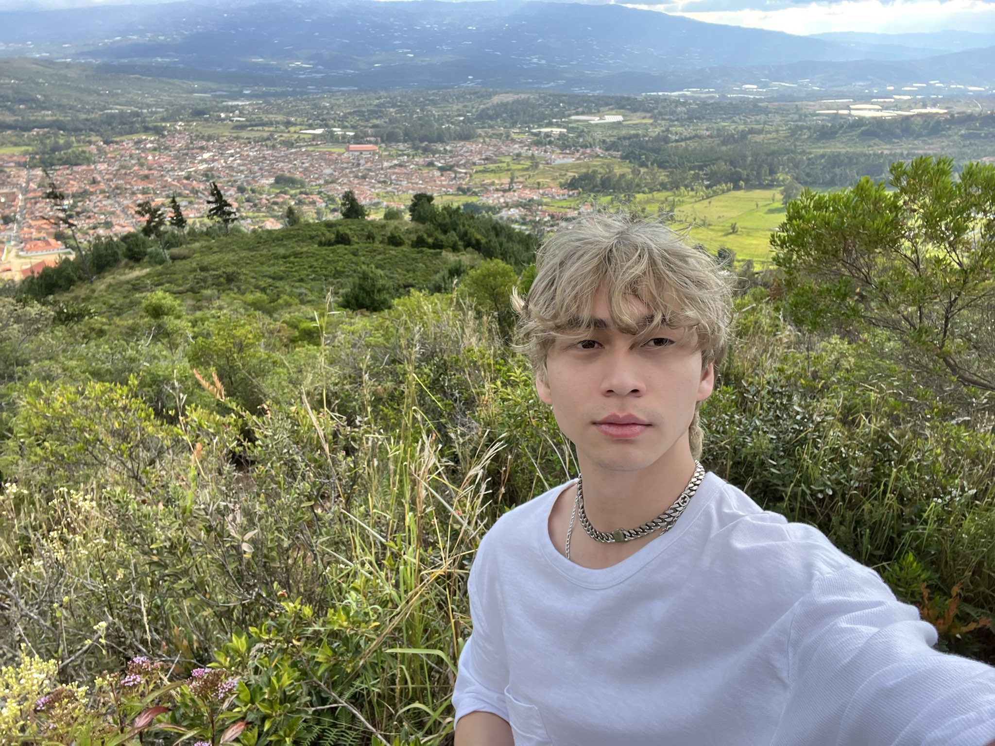 Oliver Moy NSB on Twitter: "this hitting harder than a taco https://t