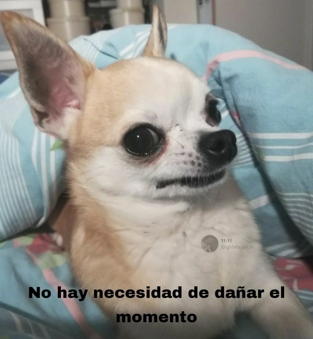 Ya vi la 1ra foto de alguien estudiando