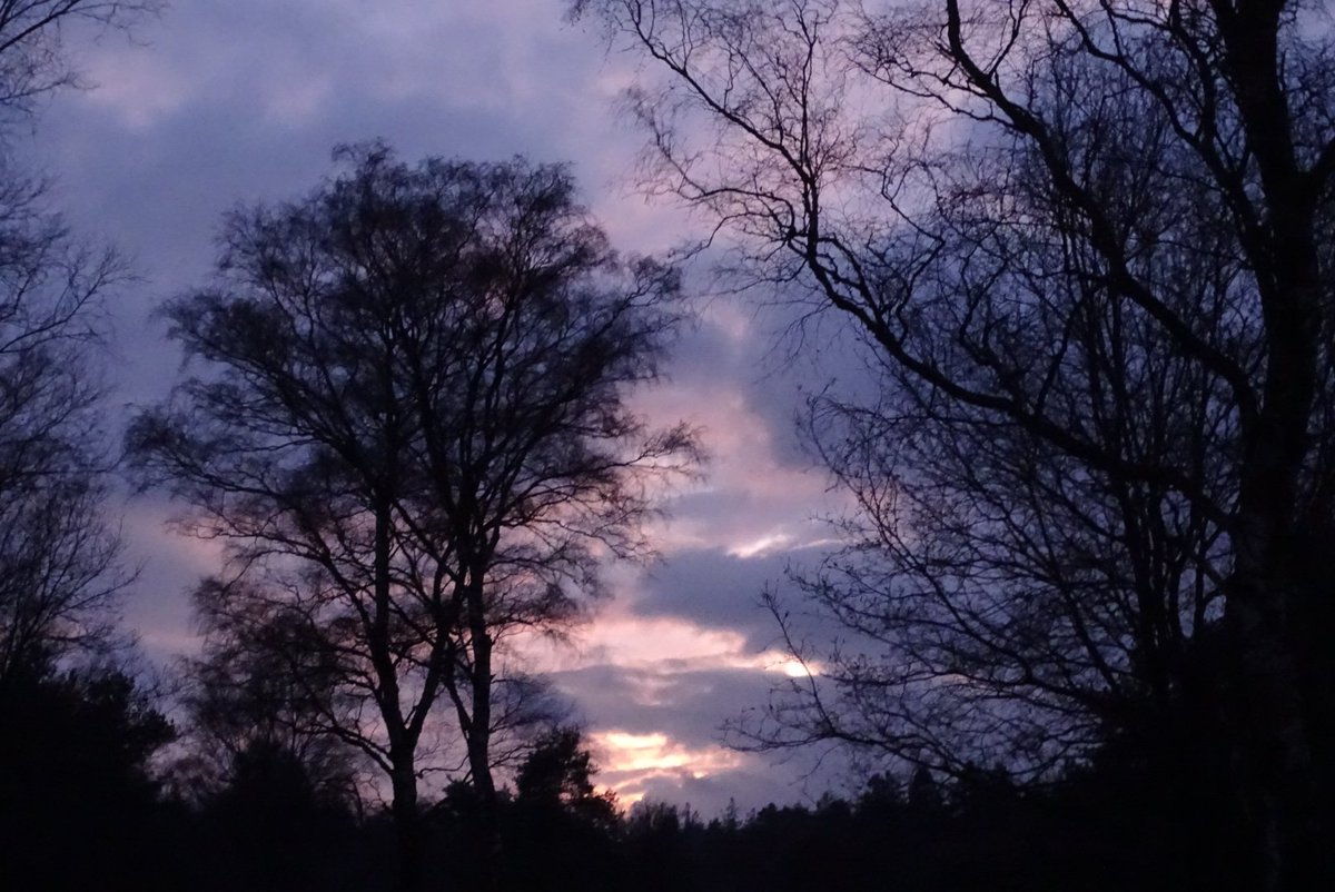 Mooi maar nat op de Stakenbergheide en langs de Staverdense allee.