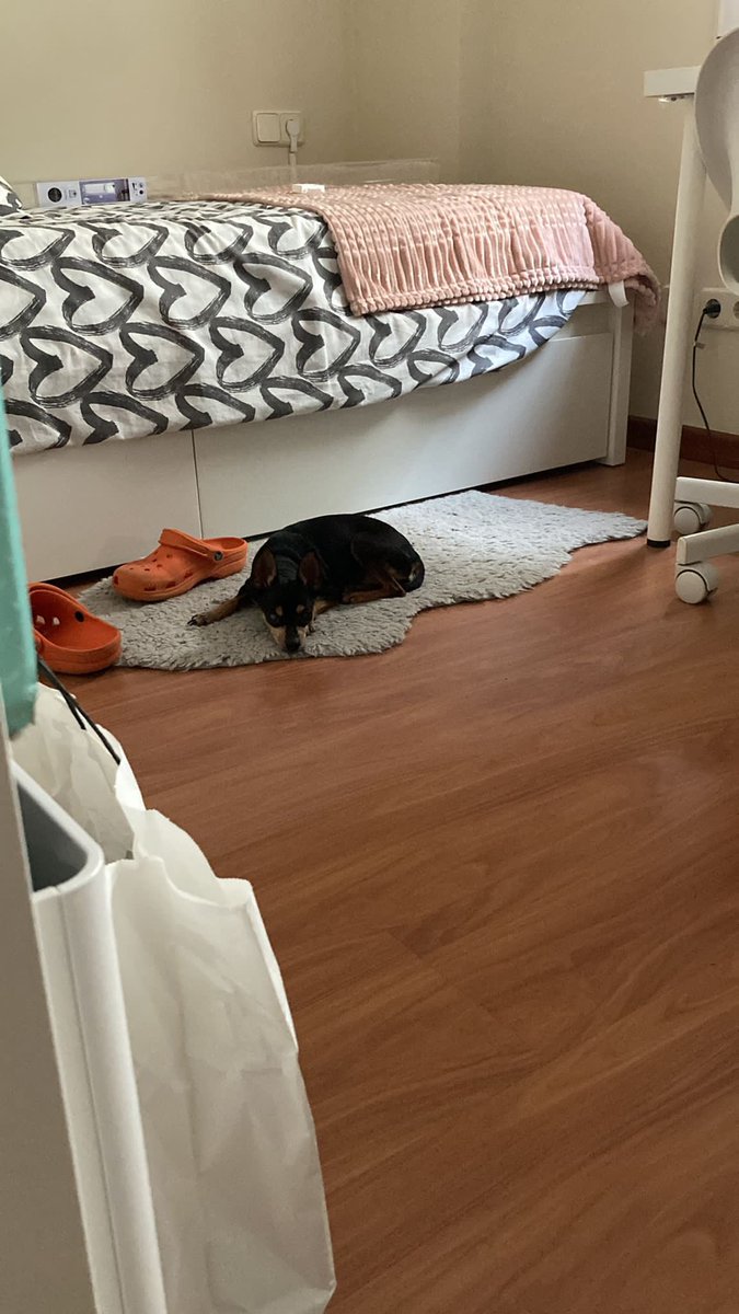 claraoltraa's tweet photo. no la puc tirar més de menos💔 https://t.co/pk7G6zxNcZ