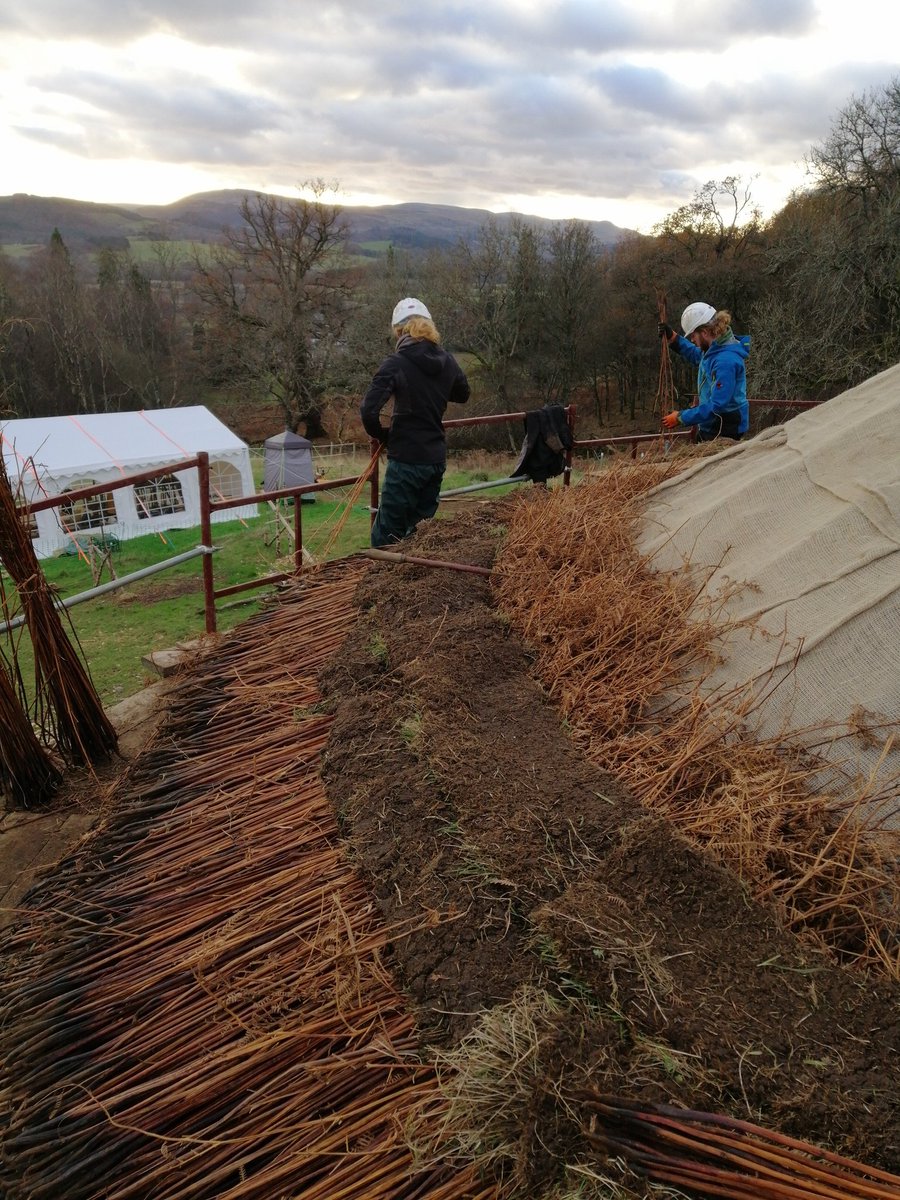 Daniel Postma tweet media