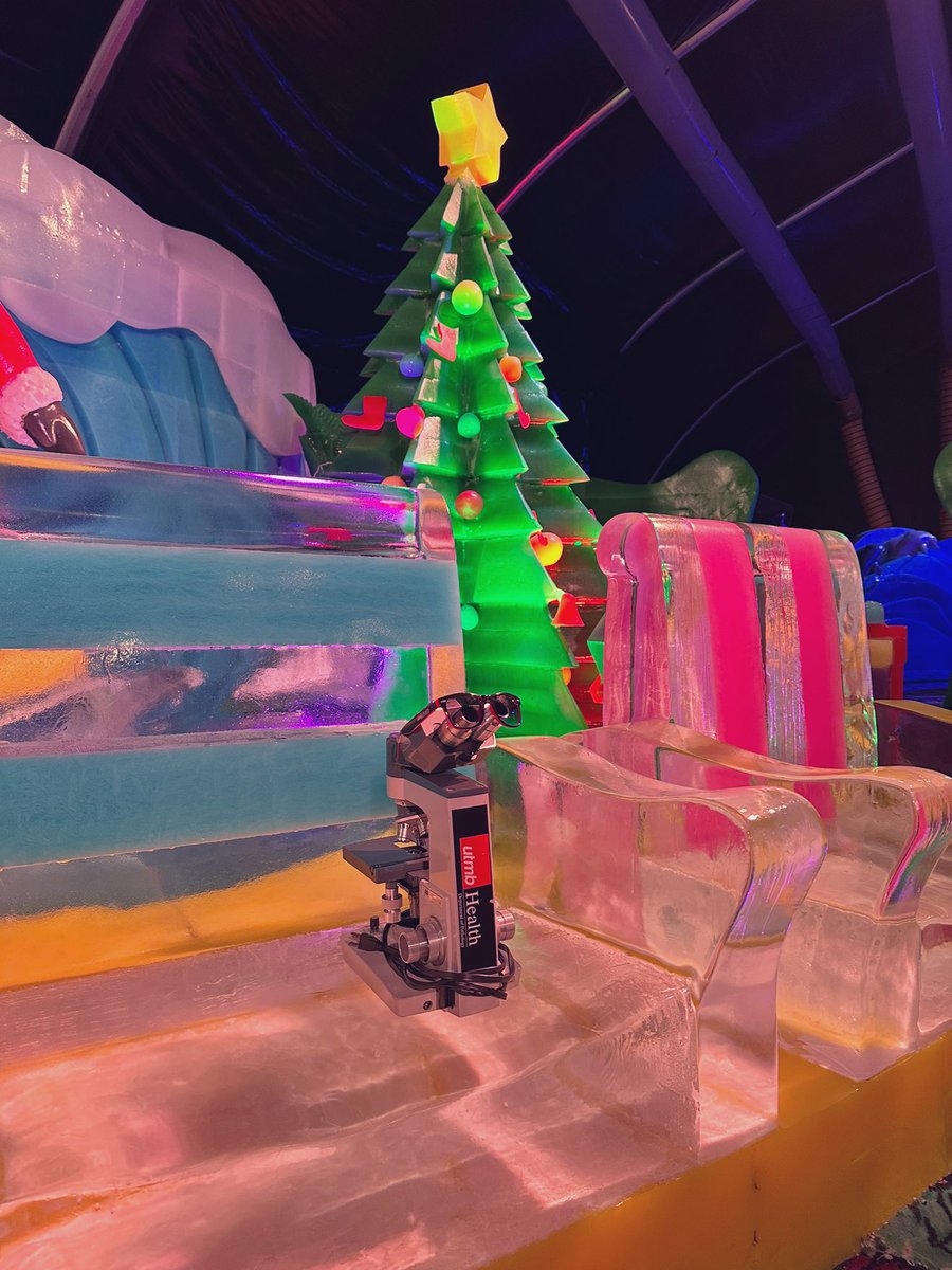 UTMB_Pathology's tweet photo. Ice Land @MoodyGardens is a favorite of children and parents alike! Don’t forget to grab a photo with Santa at the ice thrones! #PathTwitter #PathMatch2023 #MollyTheMicroscope https://t.co/Ah8uM5jjEW