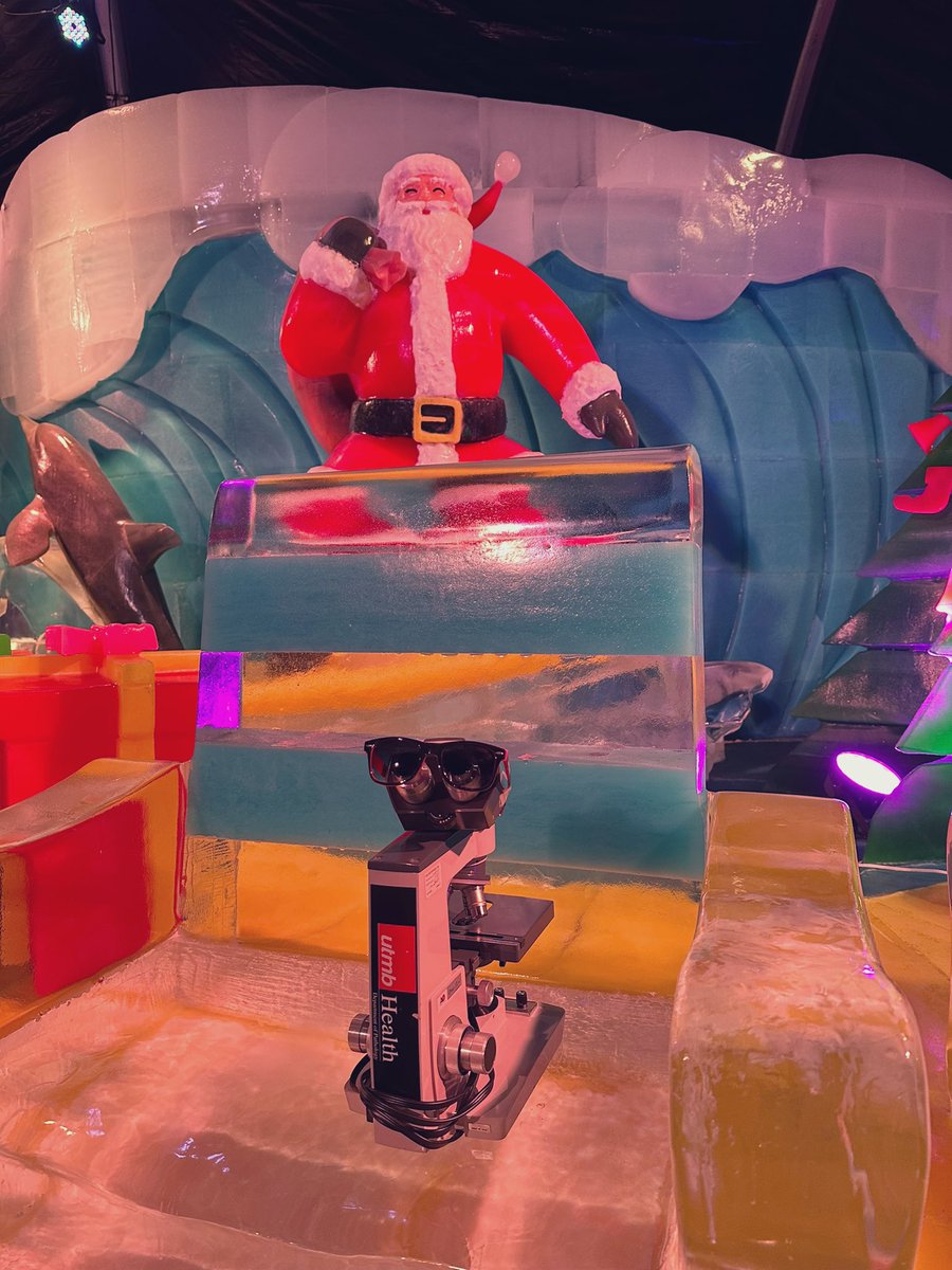 UTMB_Pathology's tweet photo. Ice Land @MoodyGardens is a favorite of children and parents alike! Don’t forget to grab a photo with Santa at the ice thrones! #PathTwitter #PathMatch2023 #MollyTheMicroscope https://t.co/Ah8uM5jjEW