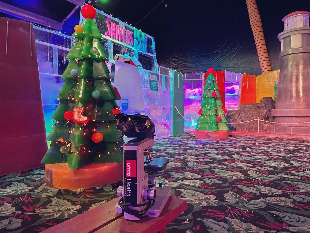 UTMB_Pathology's tweet photo. Ice Land @MoodyGardens is a favorite of children and parents alike! Don’t forget to grab a photo with Santa at the ice thrones! #PathTwitter #PathMatch2023 #MollyTheMicroscope https://t.co/Ah8uM5jjEW