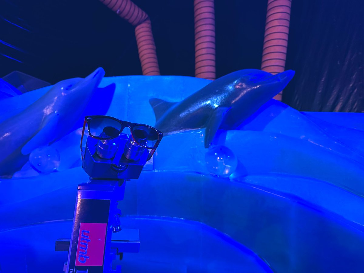 UTMB_Pathology's tweet photo. Ice Land @MoodyGardens features a coral reef and sea creatures made entirely of ice. Don’t miss the scuba diver and treasure chest! #PathTwitter #PathMatch2023 #MollyTheMicroscope https://t.co/acFZ8Nfuv1