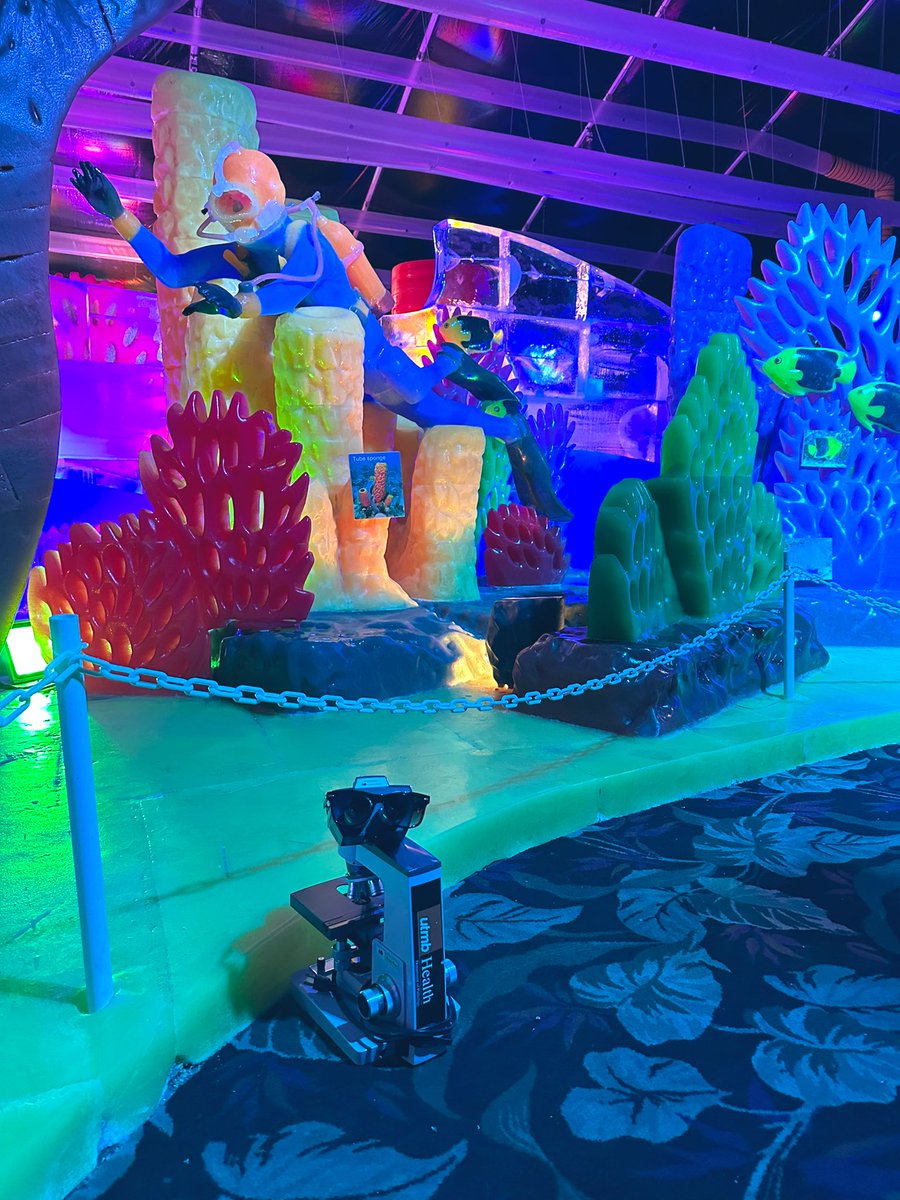 UTMB_Pathology's tweet photo. Ice Land @MoodyGardens features a coral reef and sea creatures made entirely of ice. Don’t miss the scuba diver and treasure chest! #PathTwitter #PathMatch2023 #MollyTheMicroscope https://t.co/acFZ8Nfuv1