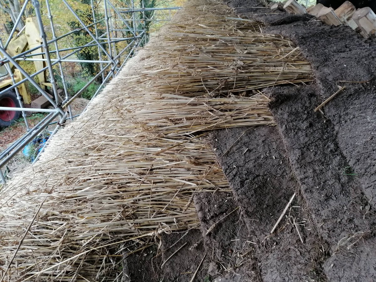 Daniel Postma tweet media