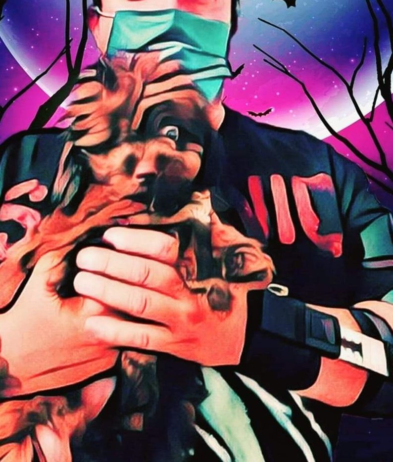 Kristian_Mella's tweet photo. #GoldAmor🐱 #Kisky🐶 #Tofee🐶 y mi querido #Sael🐶
Todos acompañan mi dia a dia en absoluta tranquilidad, aquella que en vida no encontraron, yo se las brindo en mi hogar, gracias a ustedes y sus donaciones.
Mil gracias por ello 😊💙 https://t.co/DZk3HLgjEM