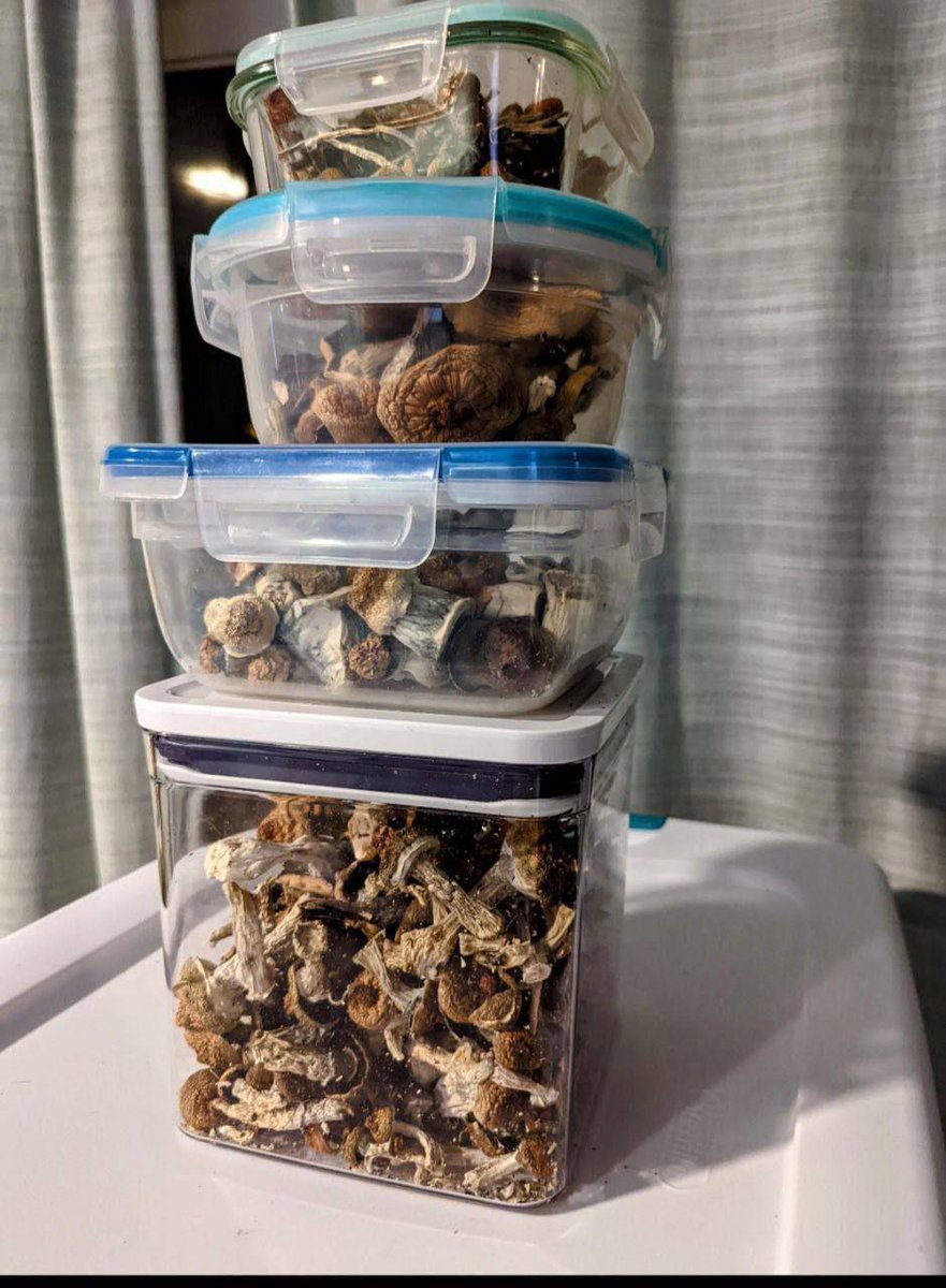 Mushrooms 🍄
All packages are set for delivery tonight. Tap in now for your order
#cannabismarketing #cannabisqueen #CannabisTalk101 #cannabiscuties #cannabisgrow #cannabisnow #cannabisinfused #cannabiskings #CannabisPhotographer #cannabiseducation #cannabisplant #cannabisbus