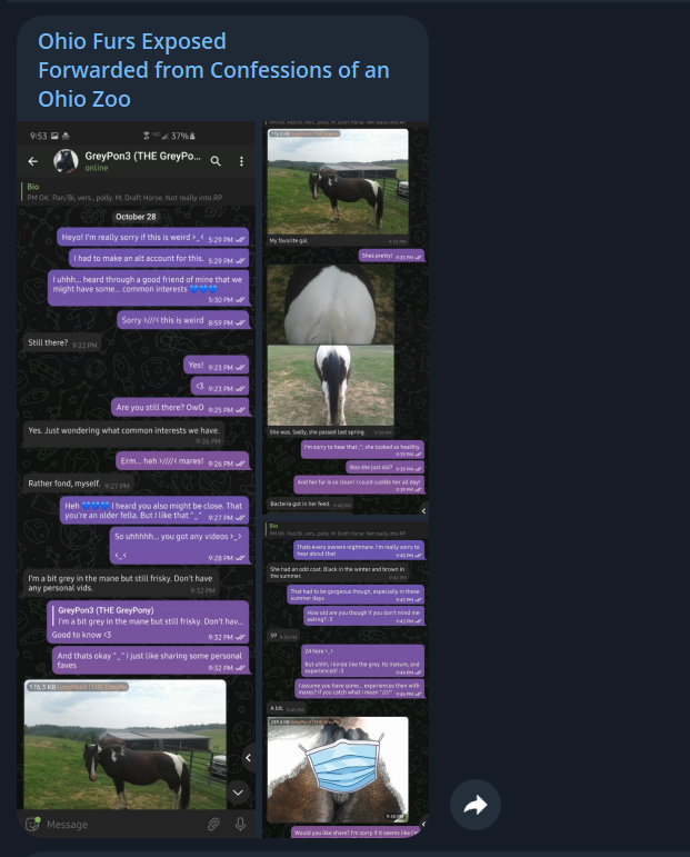 OhioFursExposed's tweet photo. Additional information on GreyPon3

Given AnthrOhio's background of allowing pedophiles and zoophiles at their convention, the convention is at risk of making the whole fandom look extremely bad
https://t.co/WkjCY8zqXG

See more on the Telegram channel in the bio #ohio_furs https://t.co/R4ZDpJdkFN