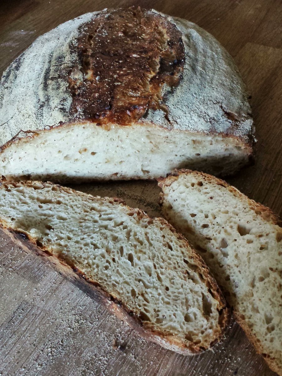 DIVINFOOD's tweet photo. Can you think of a domesticated form of a wild species of wheat?
Einkorn wheat!
This type of wheat is sometimes known as “littlespelt” in English. And its Latin name is Triticum monococcum.
#DIVINFOOD #H2020 https://t.co/eLkKBeBadL