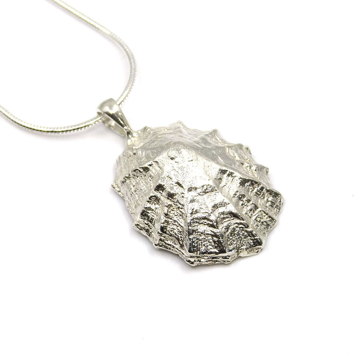 TheStrandline's tweet photo. Sterling Silver Limpet Shell Necklace, Cast Shell Pendant, Seashell Pendant, Hallmarked Silver Pendant https://t.co/1uq53bLBJS #Etsy #thestrandline #EarlyBiz #northumberland #warkworth #supportsmallbusiness #HandmadeHour #shopindie #UKGiftAM #LimpetShell https://t.co/iTn3Xb5MGb
